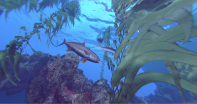 Shark Week: Operation Apex 3
